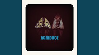 Video thumbnail of "Agridoce - Dancando"