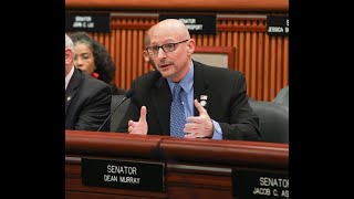 Nys Sen. Dean Murray Questions Acting Comm. Of Ocfs Suzanne Miles-Gustave At Budget Hearing