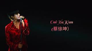 Cai XuKun(蔡徐坤) -It's You, Chinese lyrics with Myanmar subtitle