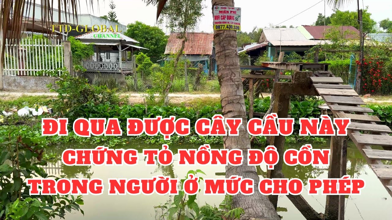 Khám phá khu phố 4 Huyện Giồng Riềng Kiên Giang