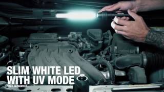 MATCO Fast Connect Light Kit #MFCLK
