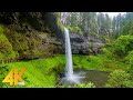 Exploring Summer Beauty of Silver Falls State Park - 4 Hours Scenic Relax Film + Nature Sounds