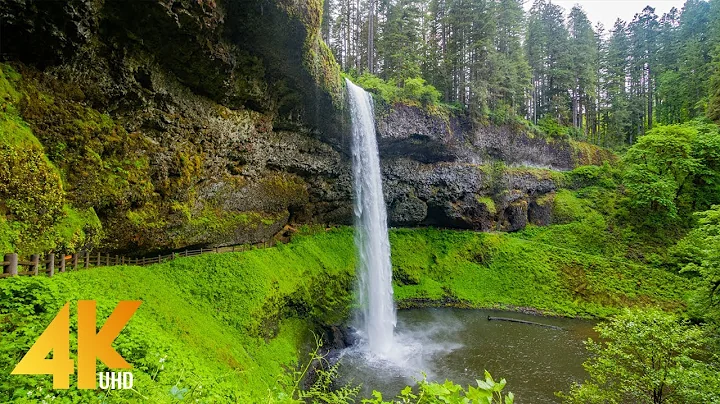 Exploring Summer Beauty of Silver Falls State Park - 4 Hours Scenic Relax Film + Nature Sounds - DayDayNews