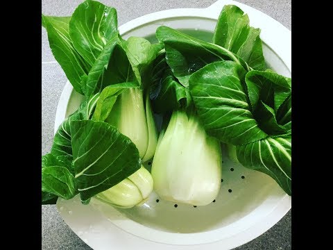 Готовлю Пак-Чой или Pak Choi,Bok choy, Бок-Чой). Продукты дёшево или даже бесплатно!!