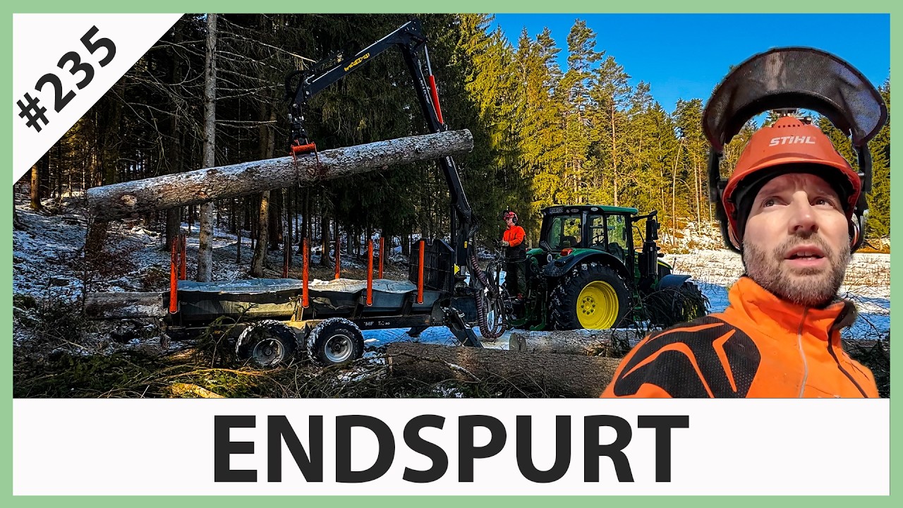 Die letzten Fichten fallen- Endspurt Waldsaison 2025/26