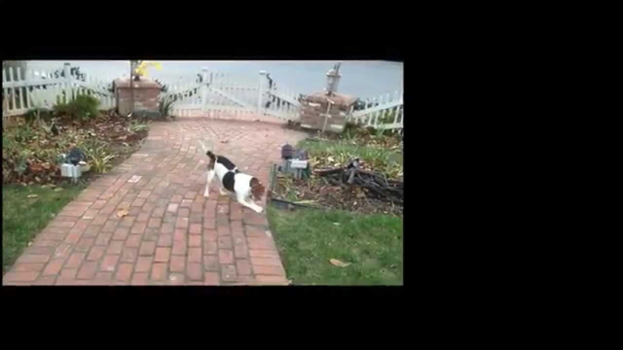 Prop 46—Every 30 seconds