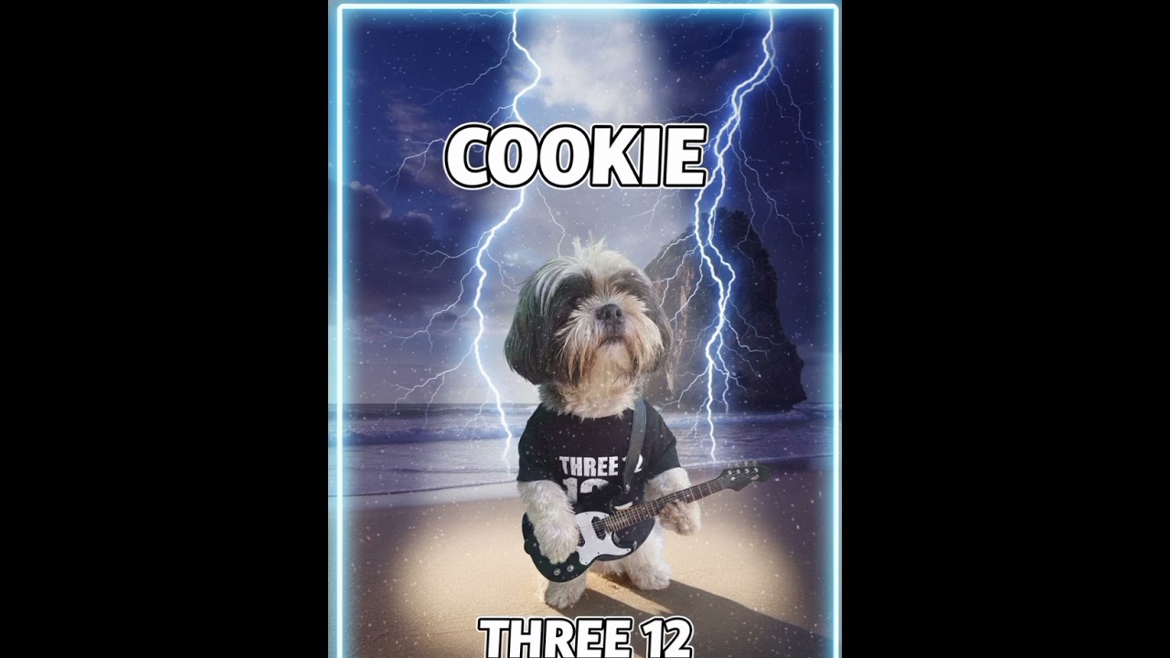 First album created by AI EXCLUSIVE in homage to my dog COOKIE ALBUM COOKIE contains 5 songs 