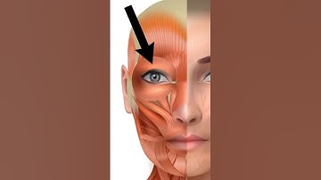 Why Starfield NPCs look so creepy