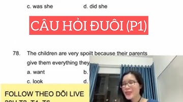 Bài 9: CÂU HỎI ĐUÔI (P1) || Ngữ pháp cho người mất gốc