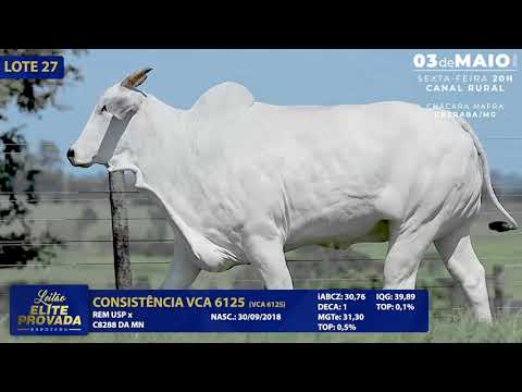 LOTE 27   VCA 6125