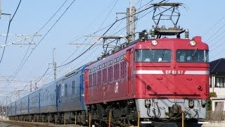 試9502ﾚ　EF81 97+24系　乗務員訓練