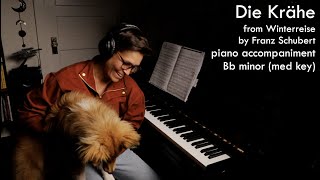Die Krähe from Winterreise by Franz Schubert | PIANO ACCOMPANIMENT (medium key)