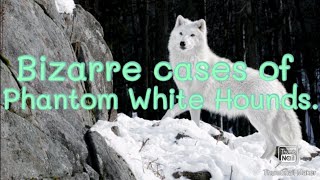 Bizarre cases of Phantom White Hounds.
