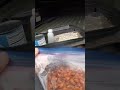 Tailgate pack bait #wildcarpfishing #carp