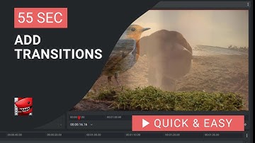 Lightworks Tutorial: How to Add Transitions in Lightworks