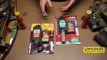 Pre Rut Scent Strategies