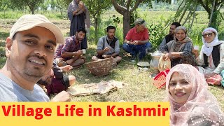 कश्मीर का गांव |Kashmir #kashmiri Village