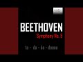 Symphony No. 5 in C Minor, Op. 67: IV. Allegro - Presto (1)