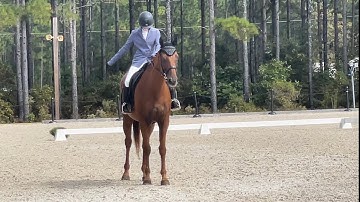 2023 TIP Championships - Intro Dressage Division - 2023 USDF Intro Test B - 57.813%