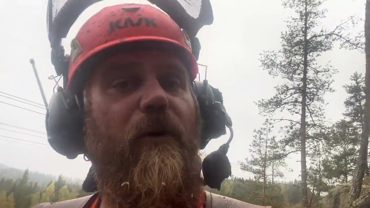 Varierande huggning och det otänkbara händer, min Stihl motorsåg går sönder