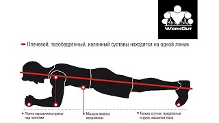 Планка: 30 вариантов упражнения на пресс для начинающих | WorkOut: фитнес городских улиц Планка: 30 вариантов упражнения на пресс для начинающих | WorkOut: фитнес городских улиц