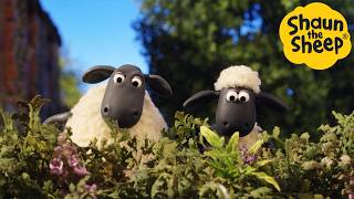 Download Lagu The Mission 🐑 Shaun the Sheep - Cartoons for Kids 🐑 Full Episodes Compilation [1 hour] MP3