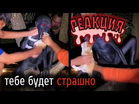 BloodyZefirot Реакция: Самые Ужасные Видео со Всего Мира #124 \ КОТЫ ЮТУБЕРЫ