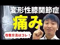 【変形性膝関節症　リハビリ　筋トレ】内転筋の筋力を改善させて変形性膝関節症の膝の痛みを根本から筋トレで改善させる方法