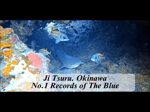 Records of The Blue No.1[4K] Okinawa Japan. Save the ocean & save the planet 오키나와 일본