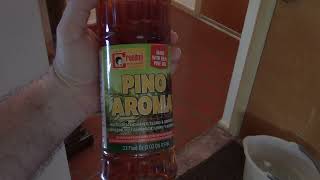 Cleaning The Floor With Rex Creolina Pino Aroma