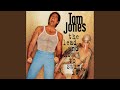 Cd Van De Maand, The Lead And How To Swing It Van Tom Jones  Hitkrant 10 December 1994