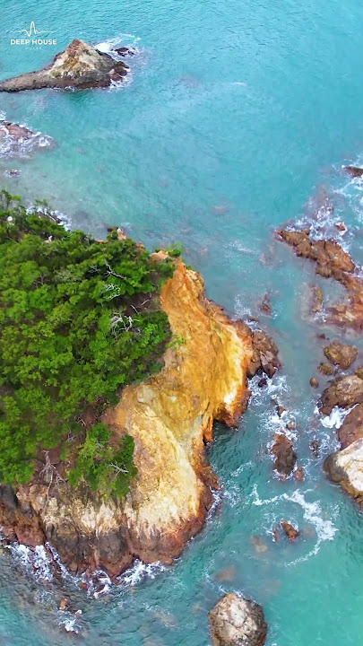 🌴 Deep House 2025 | Chill Summer Vibes | Tropical House Mix #deephouse #summermix #chillvibes