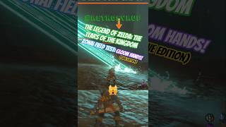 The Legend of Zelda: The Tears of the Kingdom ~ Zonai Field Test: Gloom Hands! (Cave Edition)
