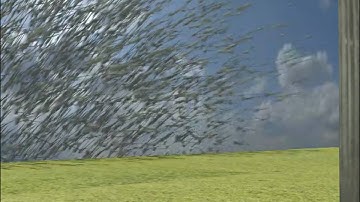 Medieval 10 000 Arrow Volley