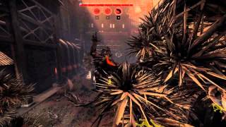 Evolve Lag Match Full