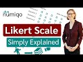 Understanding the Leica Scale