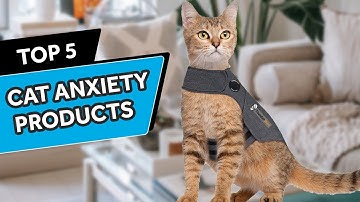 Top 5 Cat Anxiety Calming Products