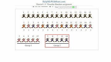 Visualize Random assignment