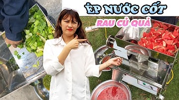 Máy Ép Nước Cốt Gia Đình Có Thể Ép Được Bao Nhiêu Loại Rau Củ Quả?
