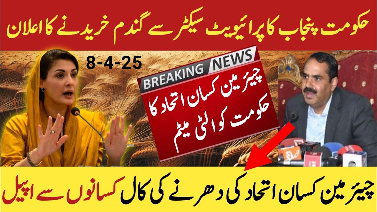 Wheat support price in Punjab 2025ll new Gundam rate ll گندم کی امدادی ...