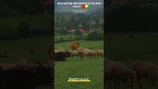 Shangarh Himachal Pradesh | Himachal Offbeat Destinations | Shangarh Sainj Valley | Manali Trip
