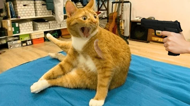 Watch the video about This Pet Video Will Make You Cry Laughing😹🐶 Funniest Animals 2025 🤣😻🐶