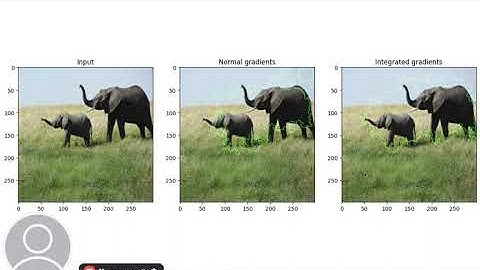 Why Attention Isn’t Explanation: Understanding Integrated Gradients