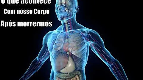 Como a luz se decompõe?
