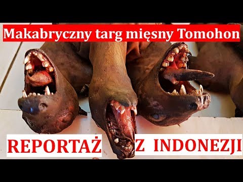 Wideo: Informacje i zdjęcia dotyczące dużych psów