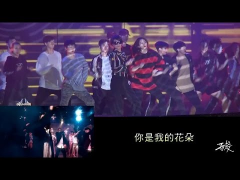 劉濤 - 你是我的花朵
