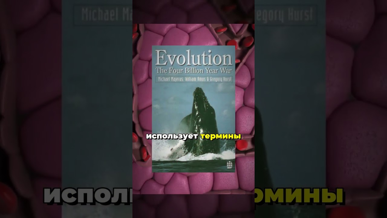 ВОЙНА ПОЛОВ ИДЁТ ВНУТРИ ТЕБЯ