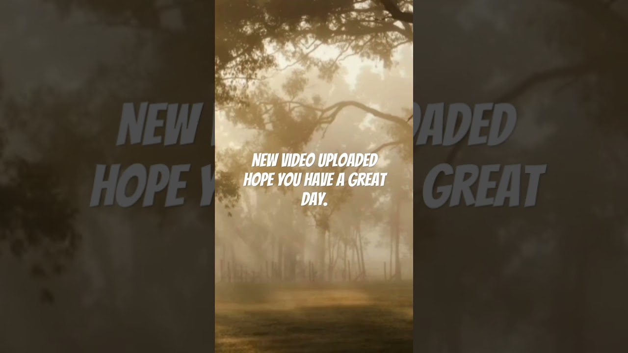 Calm relaxing music to chill.