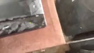Download تحويل شاشة شونك الى العمل الذاتي مع معالجة الصورة Nagative Video MP3 تحويل شاشة شونك الى العمل الذاتي مع معالجة الصورة Nagative