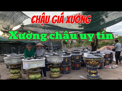 Xưởng chậu xi